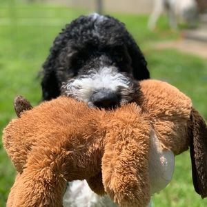 Meet your Posher, Kristie